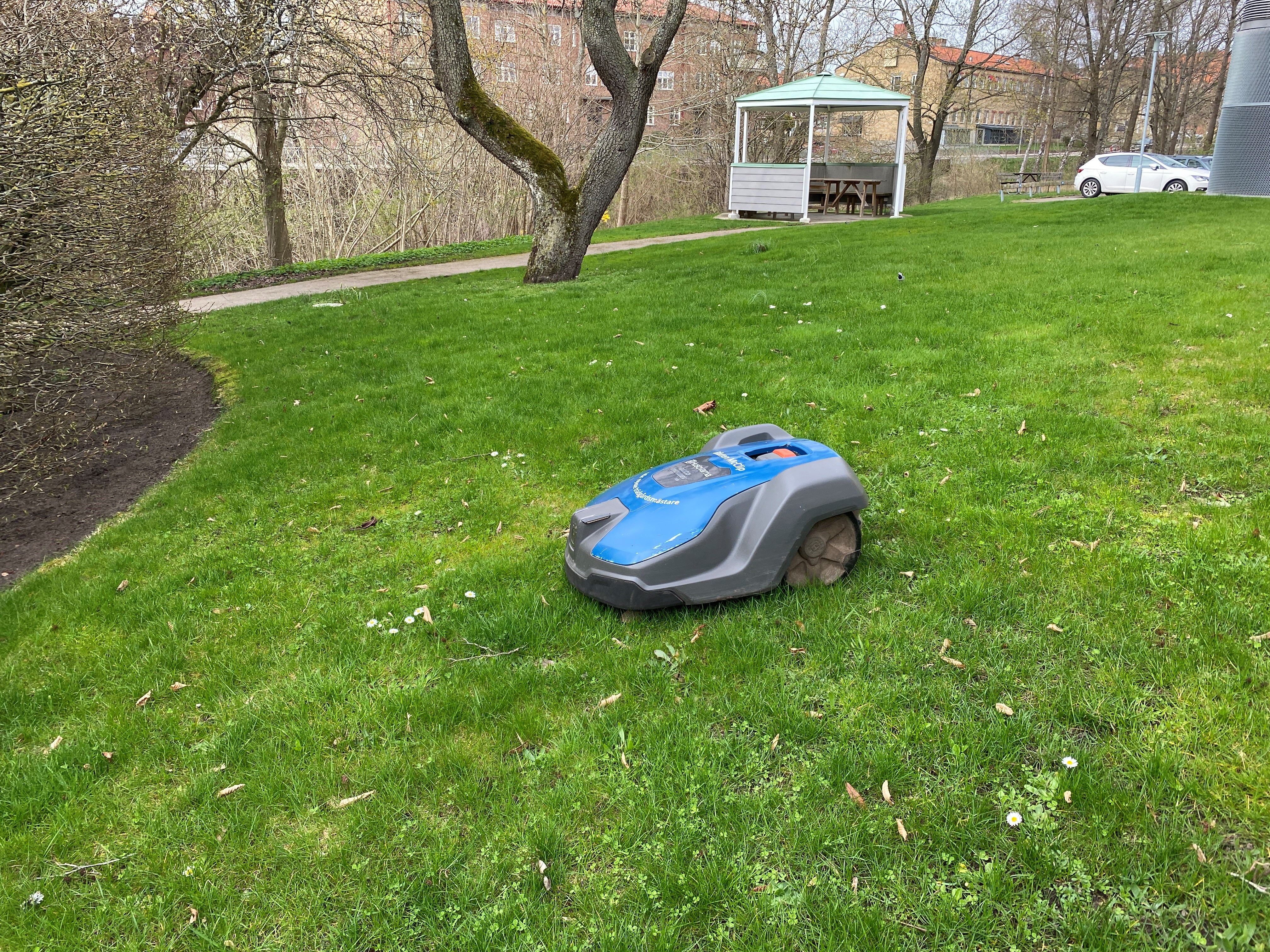 En robotgräsklippare på en gräsmatta